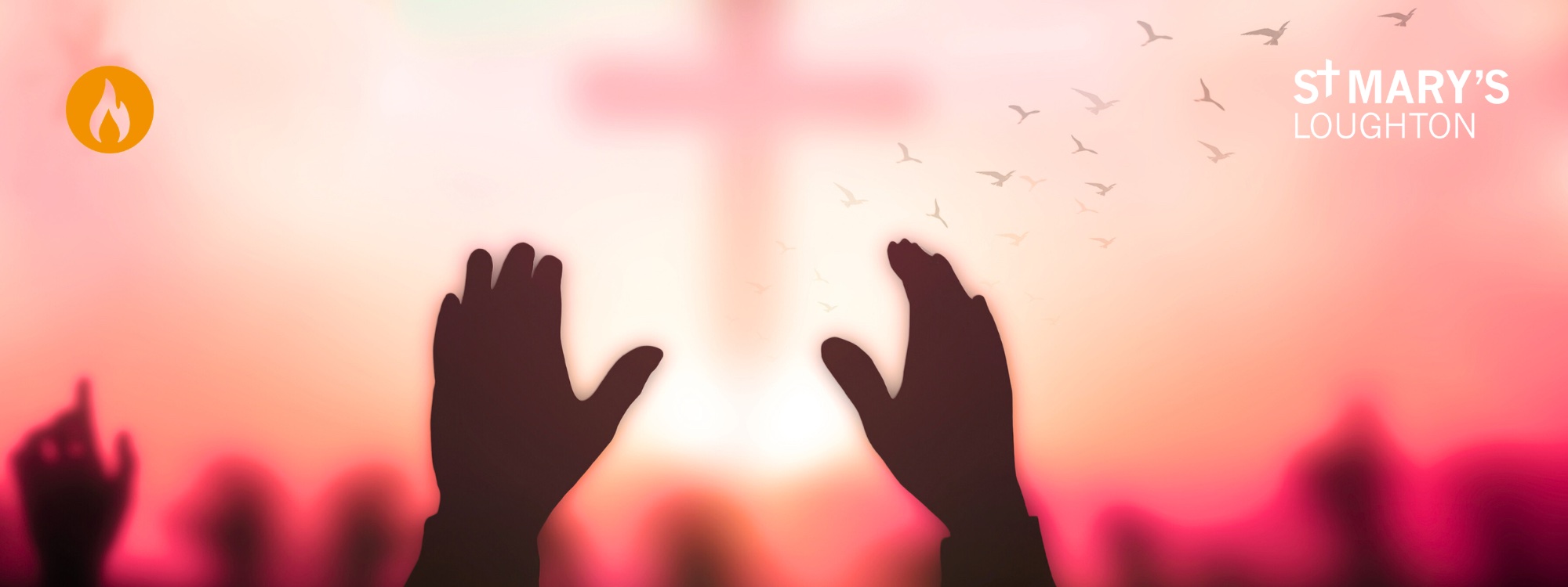 CONFERENCE 13 MAY*with Pete Hughes*Register here